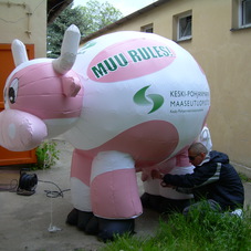Inflatable cow