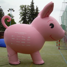 Aufblasbare schwein