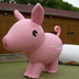 Inflatable pig