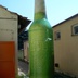 Ilmatäytteiset pullo Pilsner Urquell