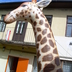 Inflatable giraffe