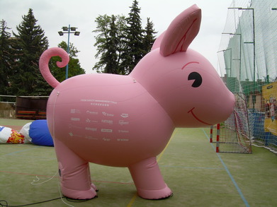 Inflatable pig